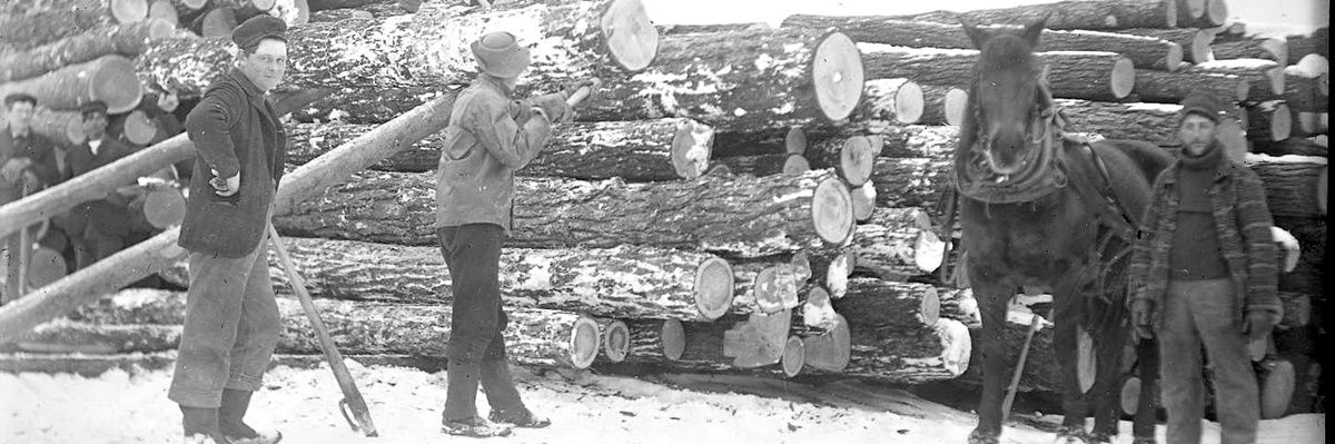 Loggers in Winter