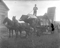 Farm scene in Point Lookout Area