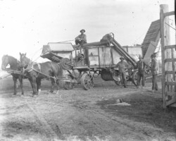 Farm scene in Point Lookout Area