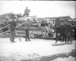 Winter Loggers Winter Loggers