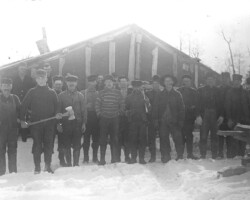 Logging scene in Point Lookout area