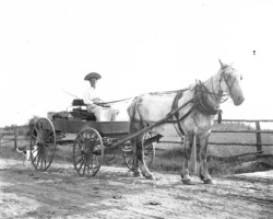 People in the Point Lookout area