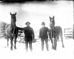 Logging scene in Point Lookout area