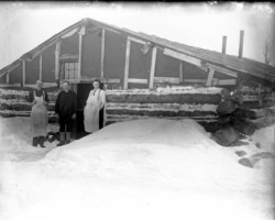 Logging scene in Point Lookout area