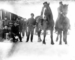 Logging scene in Point Lookout area
