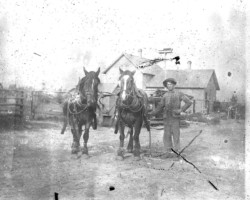 Farm scene in Point Lookout Area