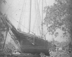 Ships appearing along the Point Lookout area