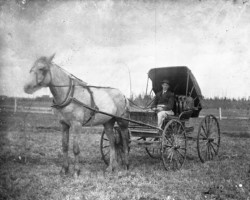 People in the Point Lookout area