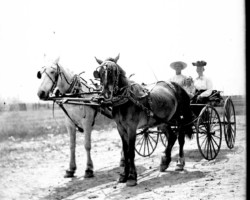 People in the Point Lookout area