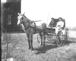 People in the Point Lookout area