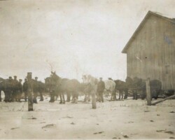 1915 Moving Arthur Elliott's Barn 1915 Moving Arthur Elliott's Barn