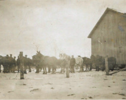 1915 Moving Arthur Elliott's Barn 1915 Moving Arthur Elliott's Barn