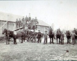 Grain Crew (Date unknown) Grain Crew (Date unknown)