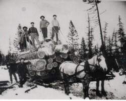 Horse Team Pulling Logging Skidder (Date unknown) Horse Team Pulling Logging Skidder (Date unknown)