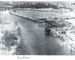 Pine River Sucker Run (Date unknown) Pine River Sucker Run (Date unknown)