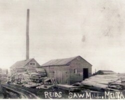 Reids Sawmill, Melita (Date unknown) Reids Sawmill, Melita (Date unknown)
