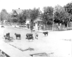 Circa 1908 Rural City Street Scene Circa 1908 Rural City Street Scene