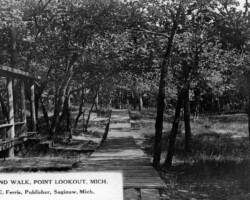 Woodland Boardwalk (Date unknown) Woodland Boardwalk (Date unknown)