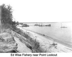 Wise Fishery on the Shore (Date unknown) Wise Fishery on the Shore (Date unknown)