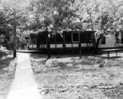 Paradise Store (Date unknown) Paradise Store (Date unknown)