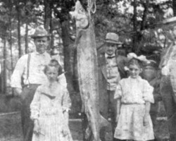 Big Fish (Date unknown) Big Fish (Date unknown)